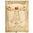 Muistivihko, Da Vinci