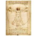 Block, Da Vinci