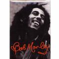 Magnet M, Bob Marley