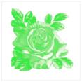Kaakelitarra, Rosa-Lee Green (6kpl)