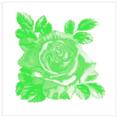 Kakeldekor,  Rosa-Lee Green (6st)