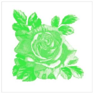 Kylpyhuone - Kaakelitarrat - Kaakelitarra, Rosa-Lee Green (6kpl)