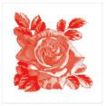Kaakelitarra, Rosa-Lee Red (6kpl)